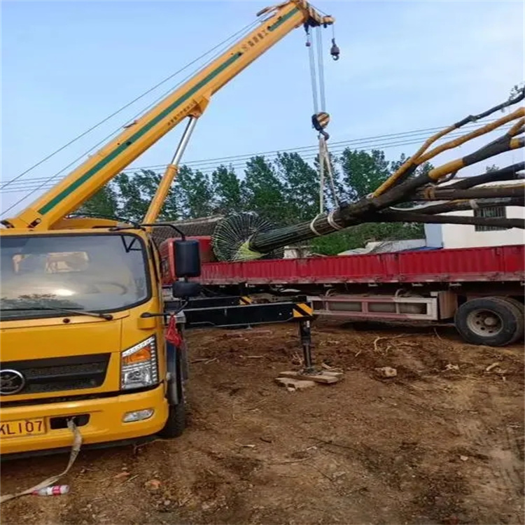 西流河镇100吨吊车租赁费用怎么算？3大关键因素+省钱技巧全解析